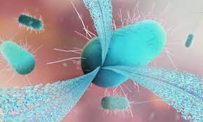 Why Functional Health Approaches Are Key to Preventing Disease