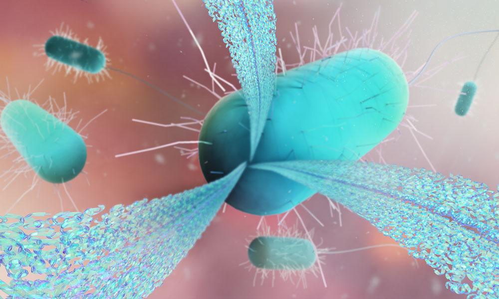 Exploring Holistic Approaches in Fertility Treatment