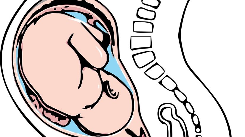 Reasons To Call Your OBGYN During Early Labor